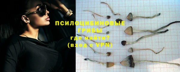 ALPHA-PVP Домодедово